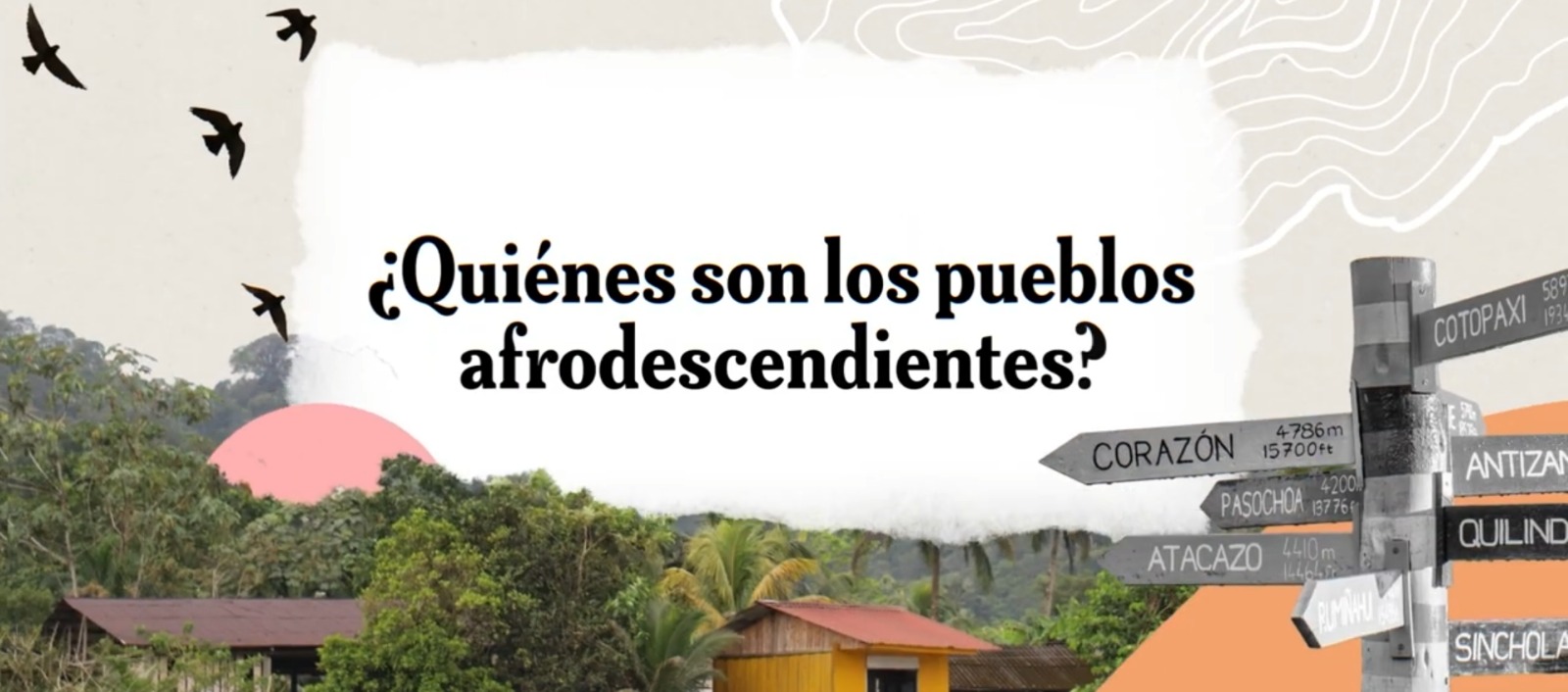 El reconocimiento es supervivencia